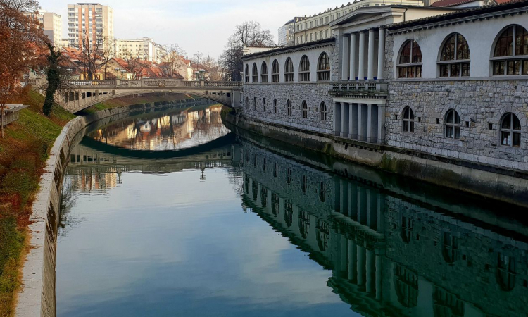 Nov rekord na dobrodelnih 24 urah veslanja po Ljubljanici