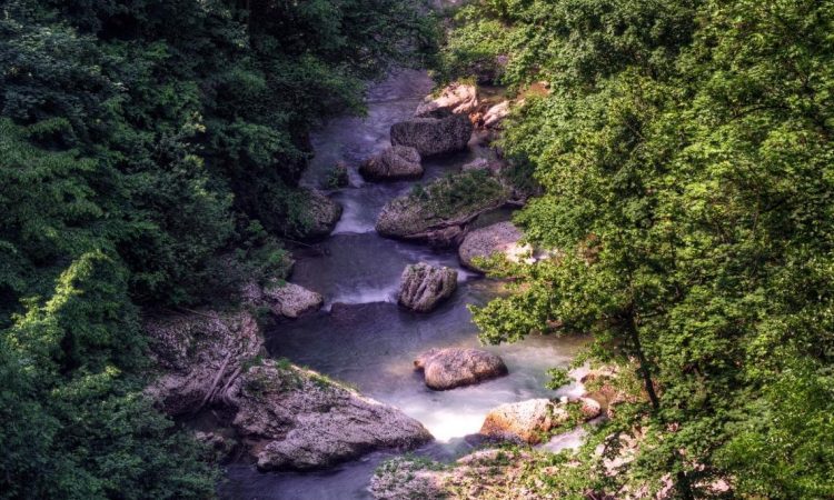 Kranjska občina opozarja na nedovoljene izlive odpadnih voda v reko Kokro