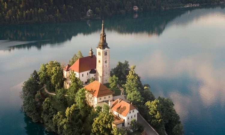 Na Bledu opozorila o onesnaženju vode in poginu rib