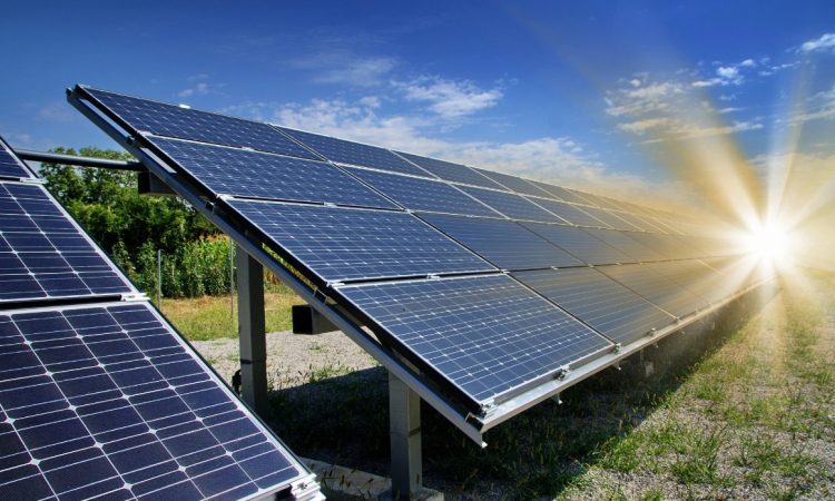 V Luki Koper načrtujejo drugo največjo sončno elektrarno v Sloveniji