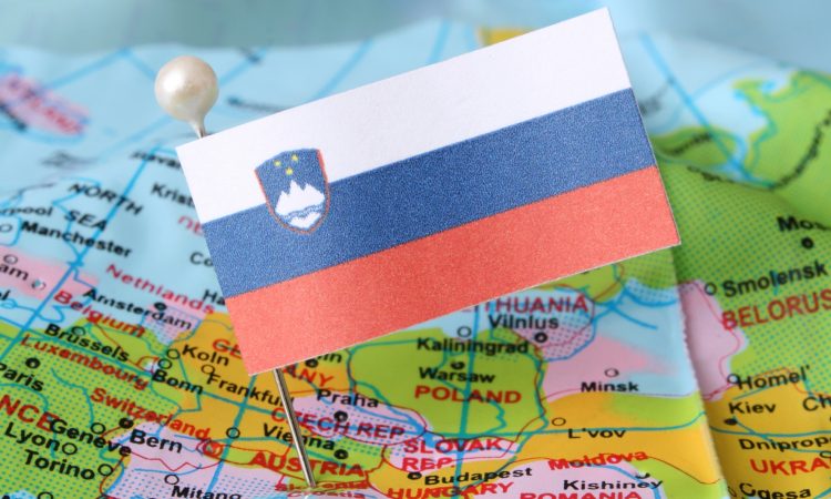 Največji selitveni prirast v Slovenijo lani med državljani Ukrajine