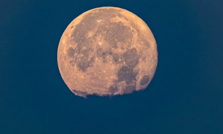31. julij: Ranger 7 pošlje prve slike iz bližine Lune