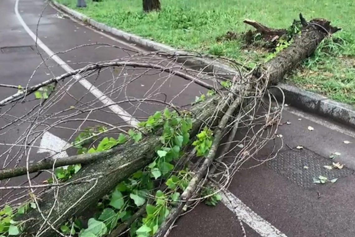 Za popoldne opozorilo pred nevihtami z nalivi in vetrom