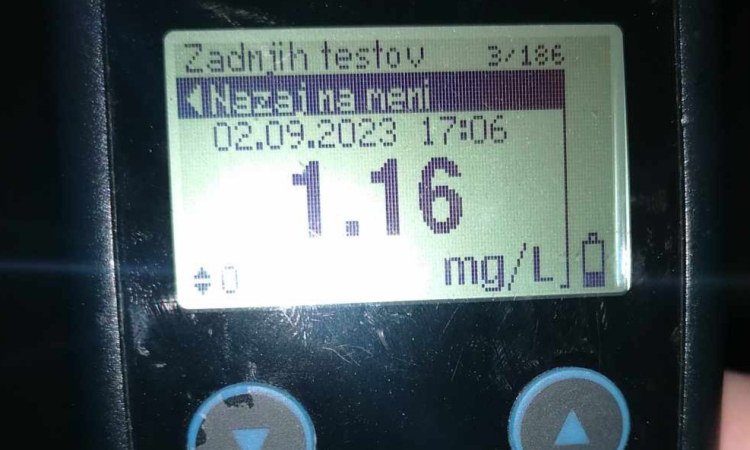 Italijanka pod vplivom alkohola na kolo