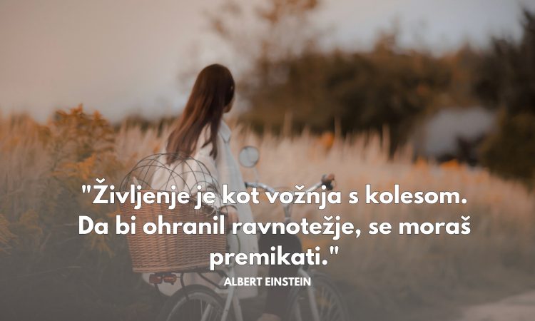Misel dneva 