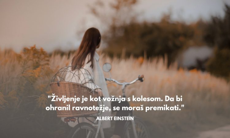Misel dneva