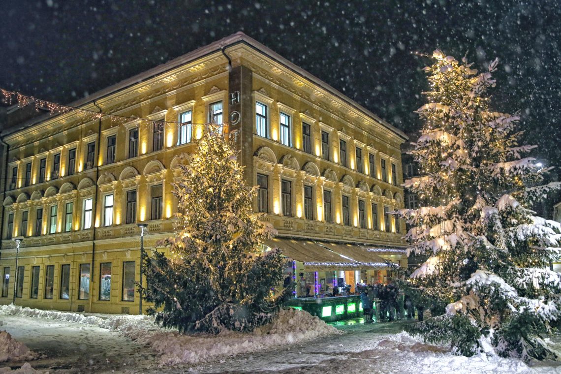 V Celju iščejo smreke za novoletno okrasitev ulic