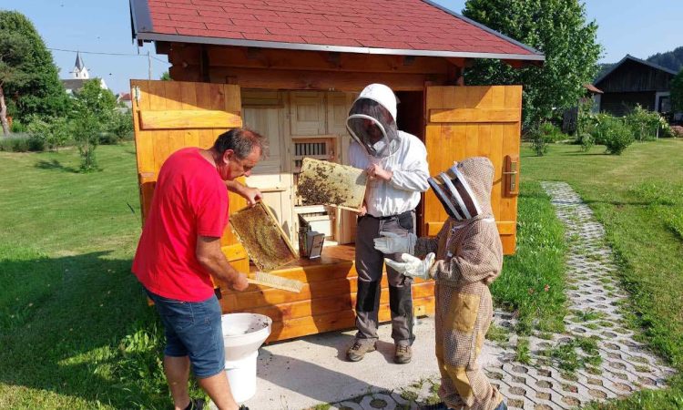 Novi učni čebelnjaki bodo spomladi razveselili nove osnovnošolce
