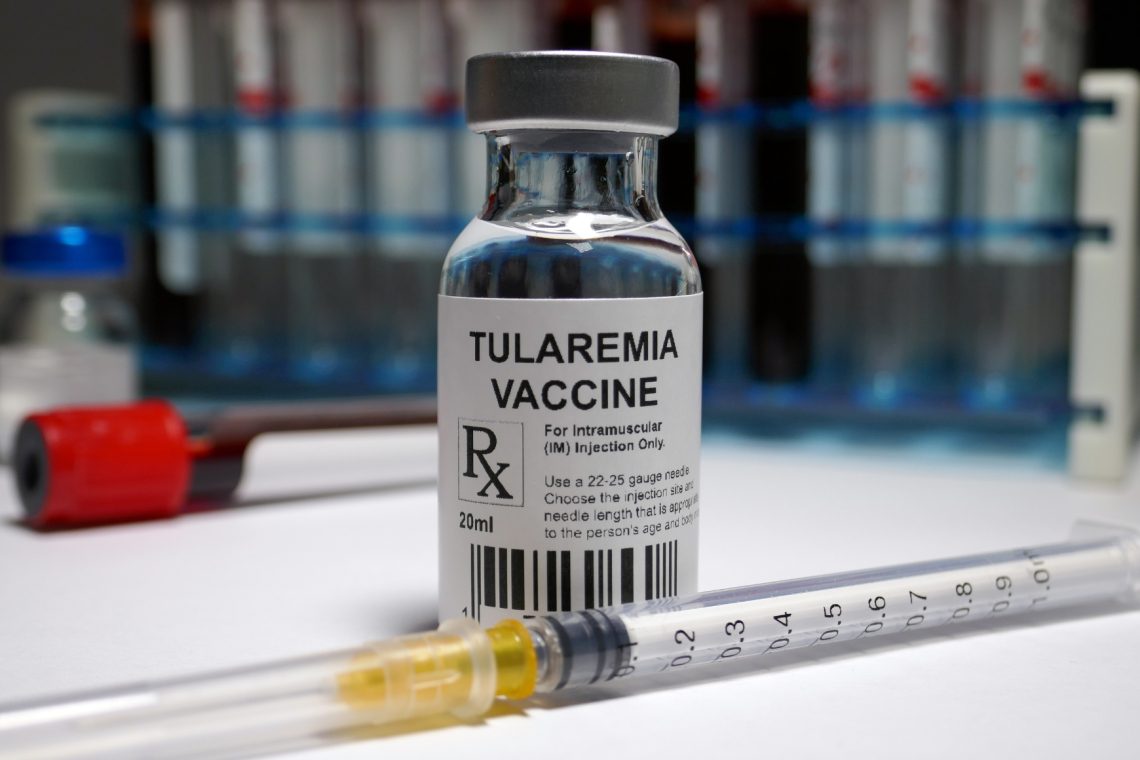 Na Gorenjskem več okužb s tularemijo ali zajčjo mrzlico