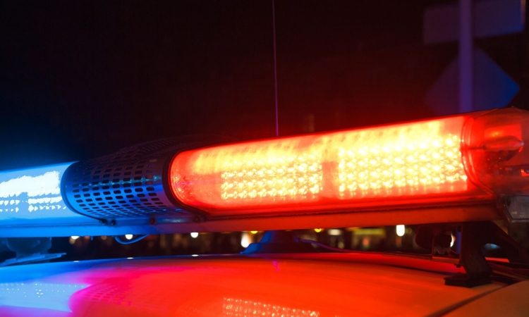Na območju PU Ljubljana okoli 40-odstotna preiskanost kaznivih dejanj, na Kočevskem okoli 50-odstotna