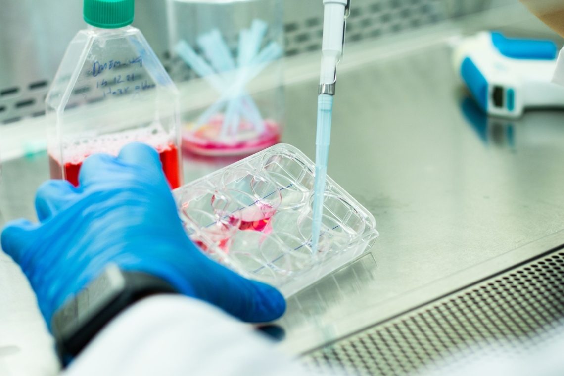 Agencija podjetju Celica odredila nadomestno shranjevanje vzorcev tkiv in celic propadle Biobanke