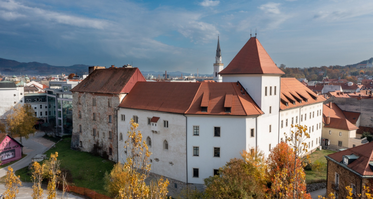 Pokrajinski muzej Celje eden izmed petih regijskih centrov kulturno-umetnostne vzgoje